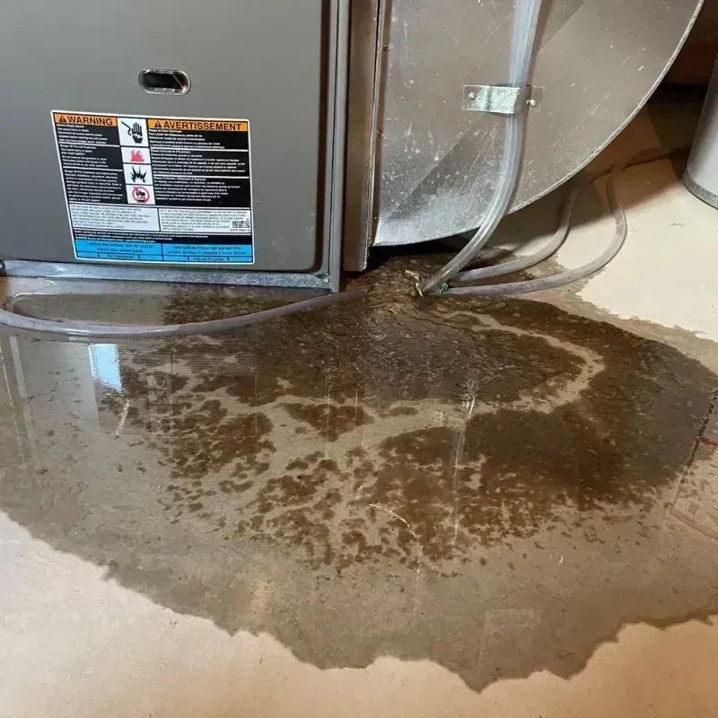 Appliance Leak Cleanup in Crump, TN